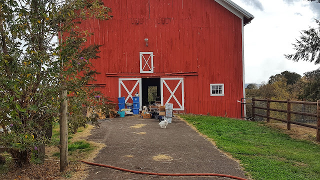 Rindy Mae The Big Red Barn
