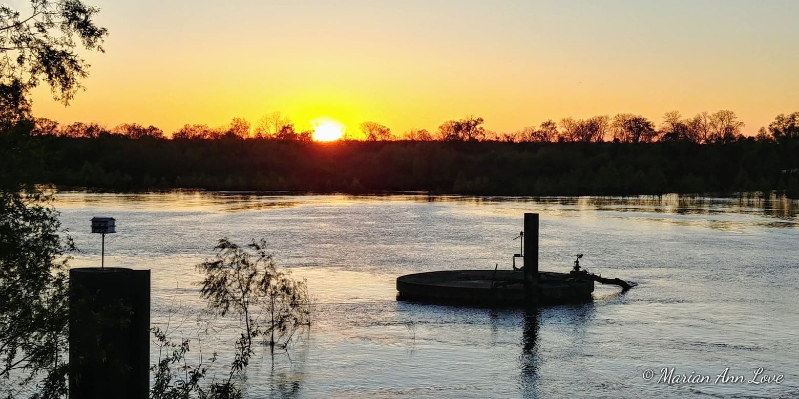 Marian's Hunting Stories, etc., etc., etc... Margaritaville Vicksburg