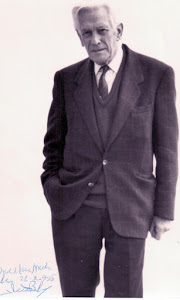 Alexandre Babo, Escritor