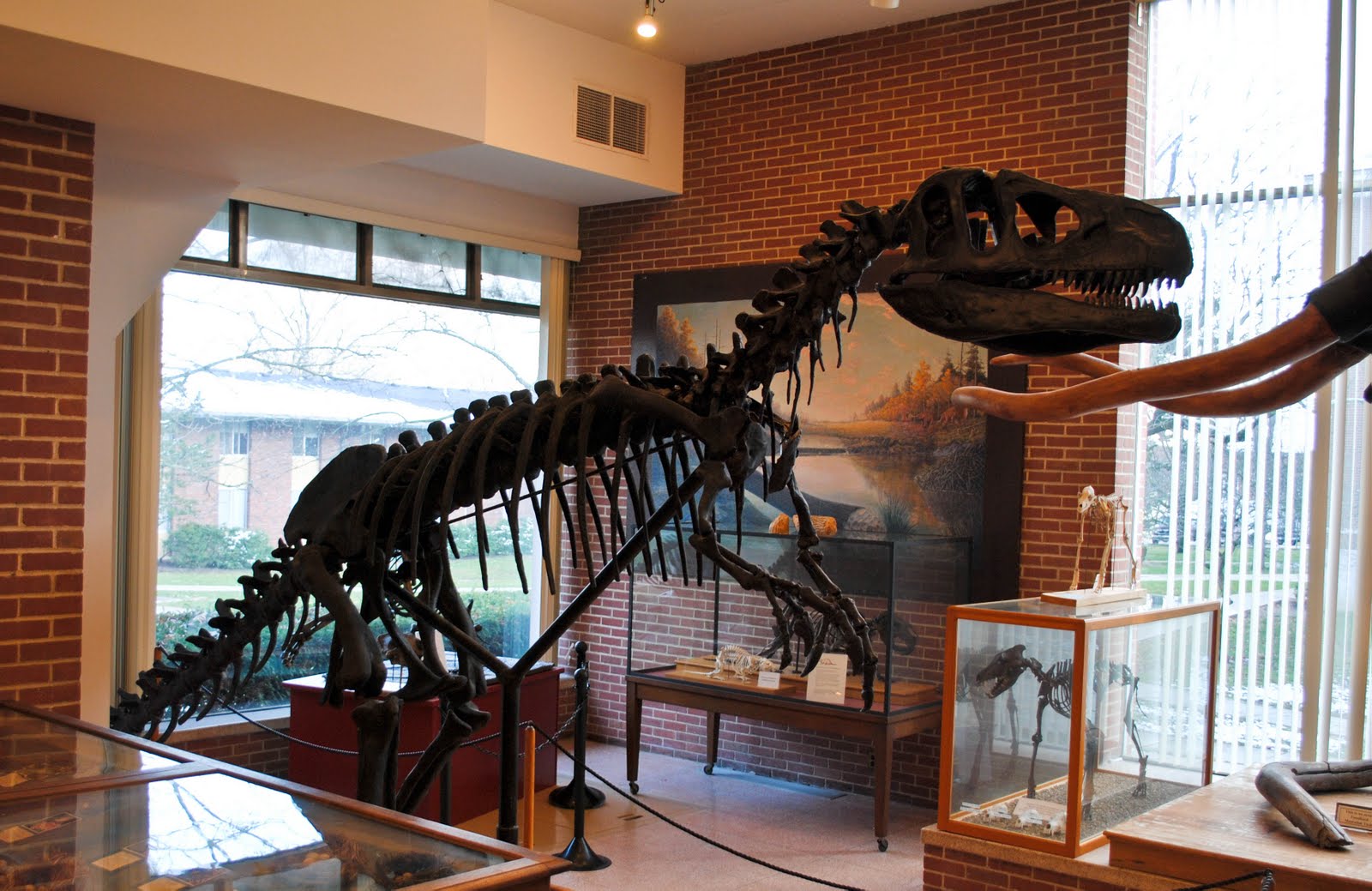 Gabe's Land Joseph Moore Museum