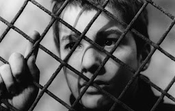 400 Blows/400 Darbe