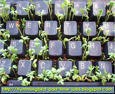 http://hummingbird-part-time-jobs.blogspot.com/2016/09/Income-Bangkok-vicinity.html