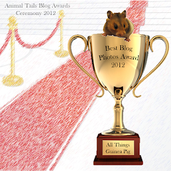 2012 Blog Award