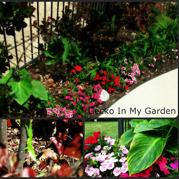 Inspirational Thursday-Gecko In My Garden