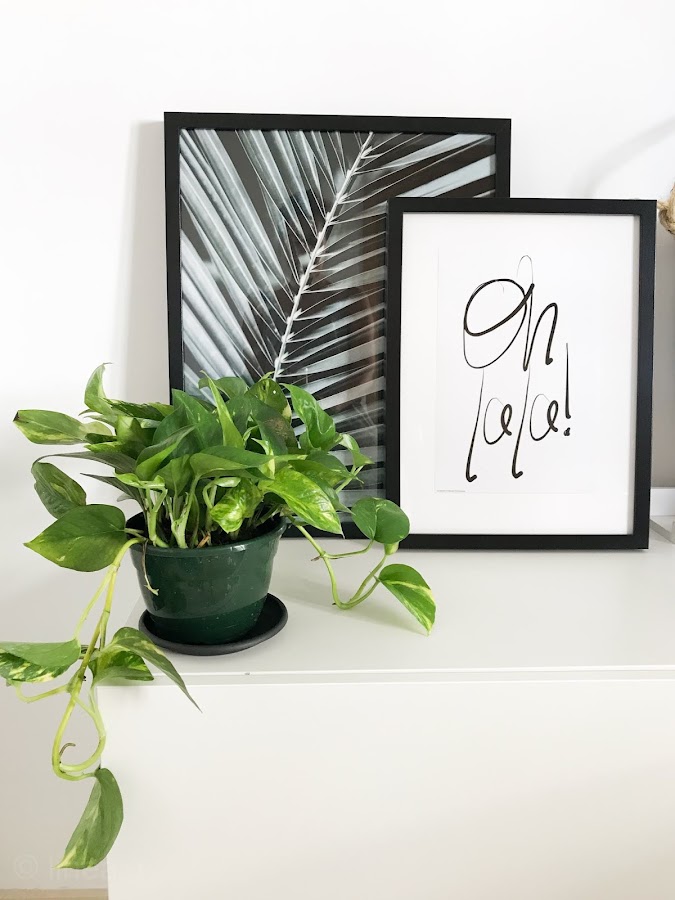 láminas decorativas