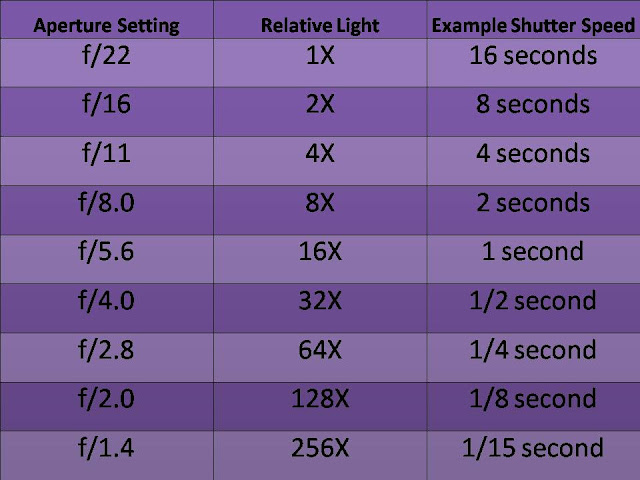 Sophie Elizabeth Lynch: Camera Exposure: Aperture, Shutter Speed and ISO
