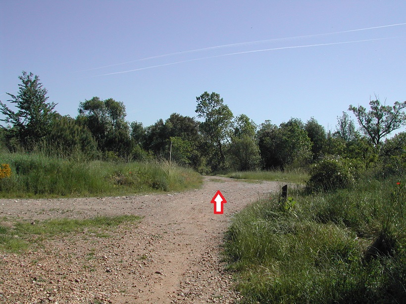 Rutes a peu de petit desnivell prop de Girona 15. La Llémena i el Ter