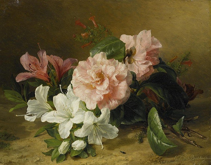 Gerardina Jacoba Van de Sande Bakhuyzen 1826-1895 | German Still life painter