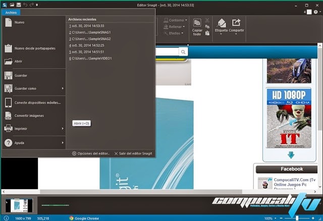 techsmith snagit v9.0.1