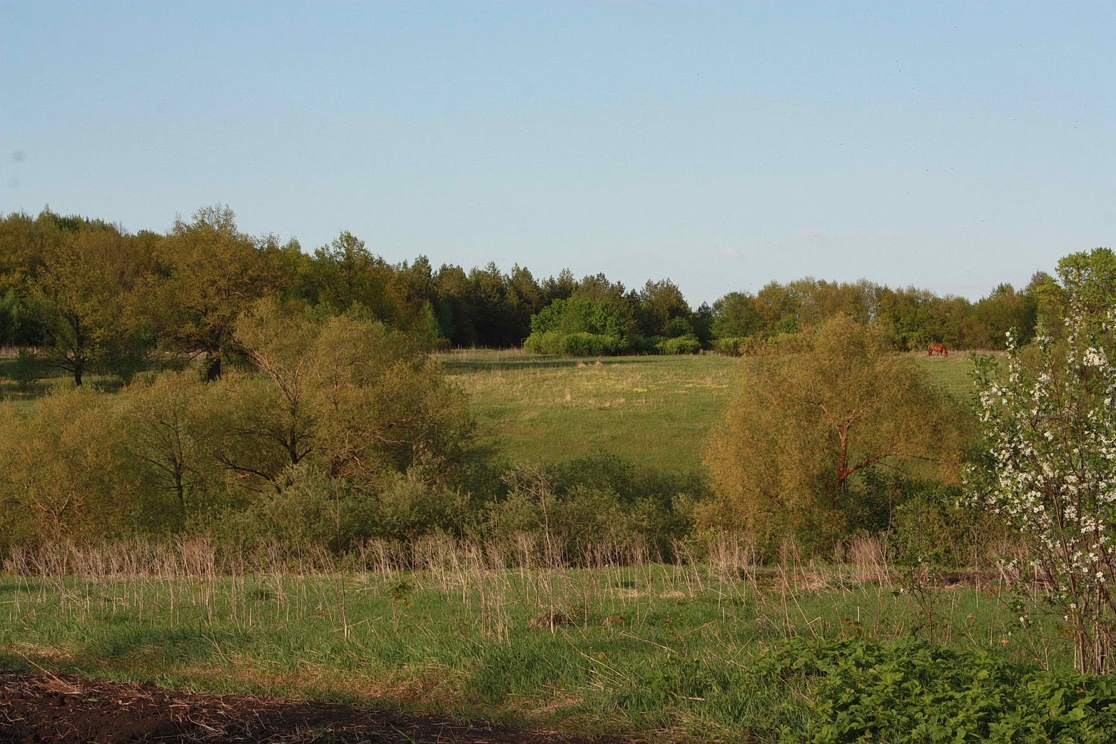 погода хутор лопатино. хутор лопатино мордовия. саранск хутор лопатино. саранск хутор лопатино. хутор лопатина мордовия.