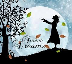 good night message in hindi good night message in hindi