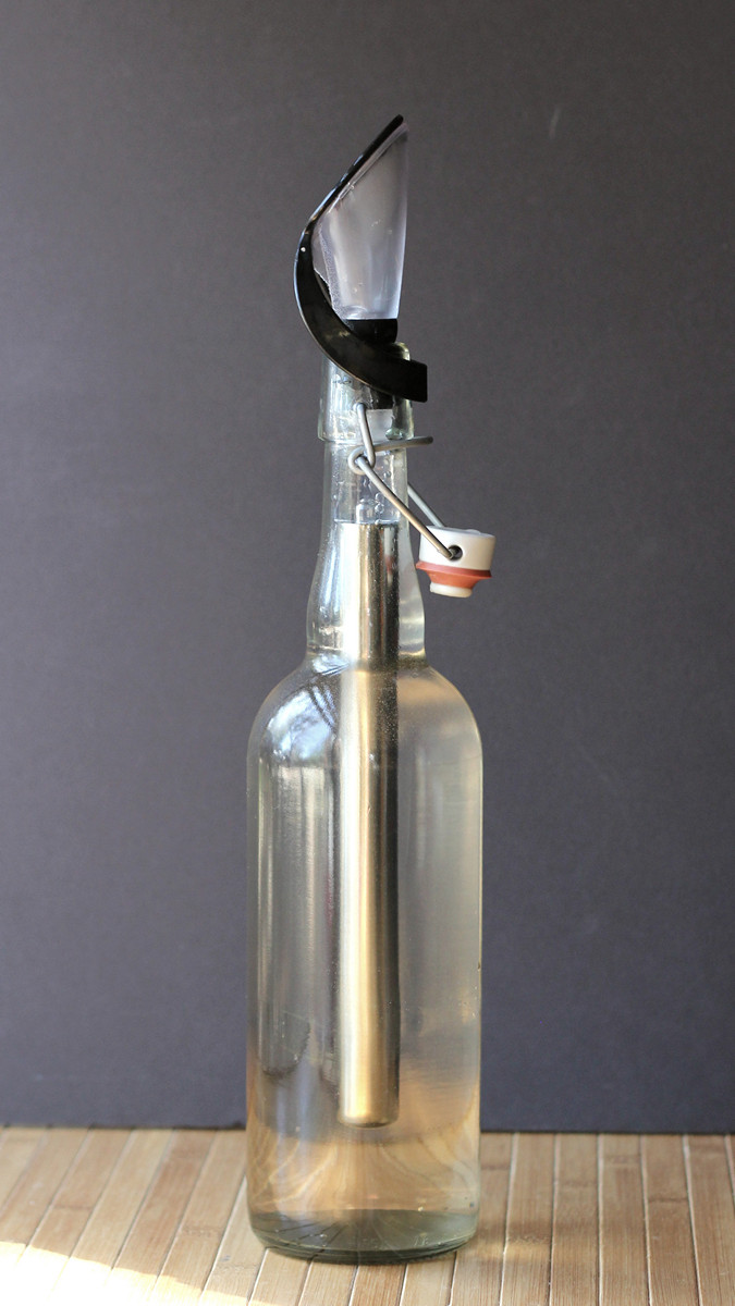 Cookistry's Kitchen Gadget and Food Reviews Wine Chiller with Stopper