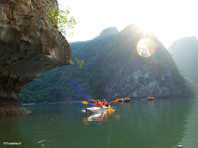 baie halong voyage vietnam tour bateau par cat ba, mer montagne paysage vietnam