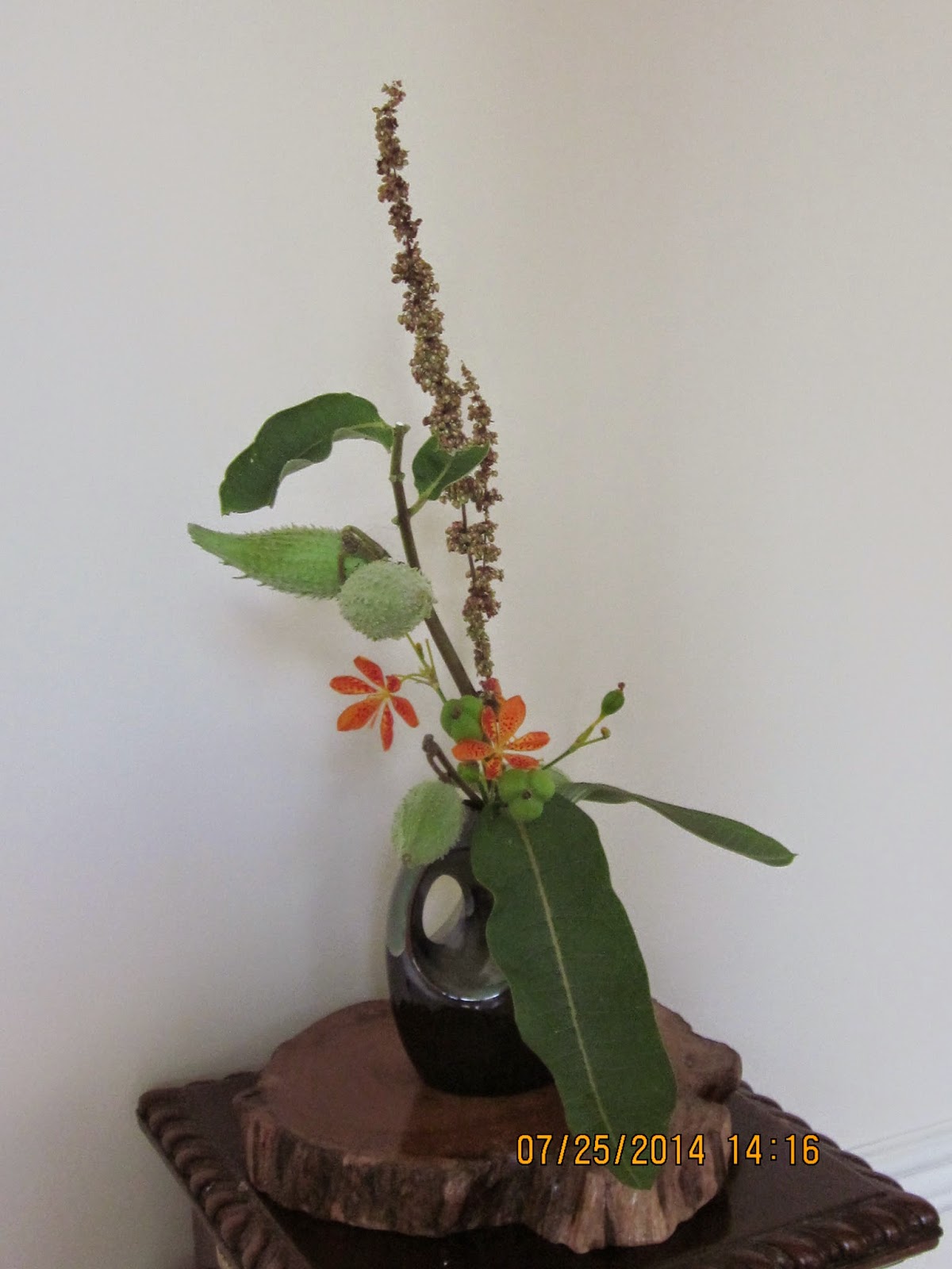 Orchids and Ikebana Roadside Materials for Ikebana