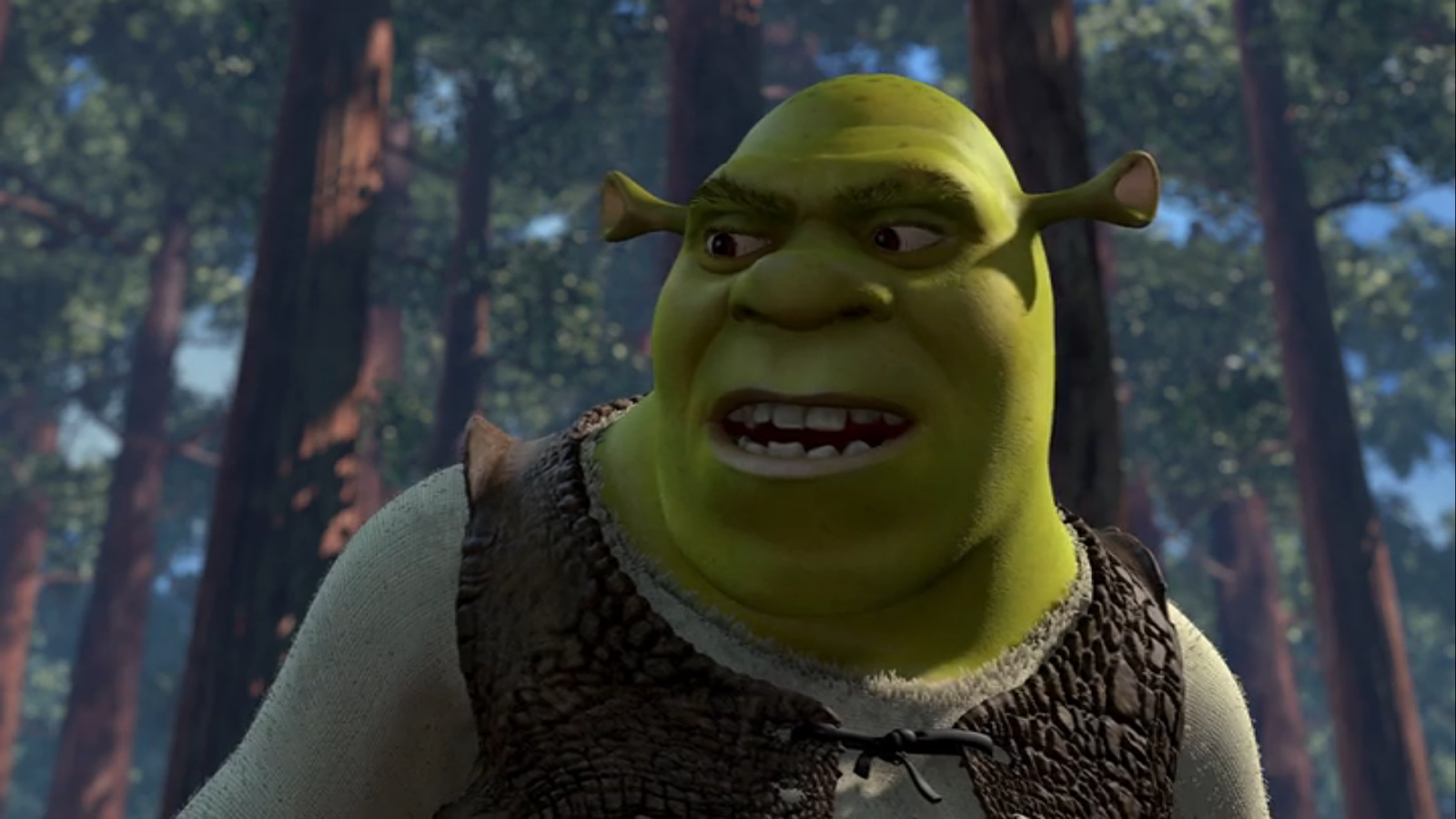 Shrek 2001 Dvd