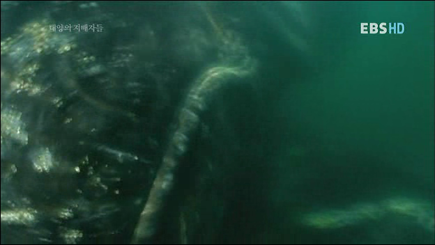 악마가된 귀신고래 이야기 | 인스티즈