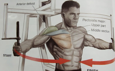 How To Get Rid Of Gynecomastia Naturally How To Get Rid Of Gynecomastia Naturally