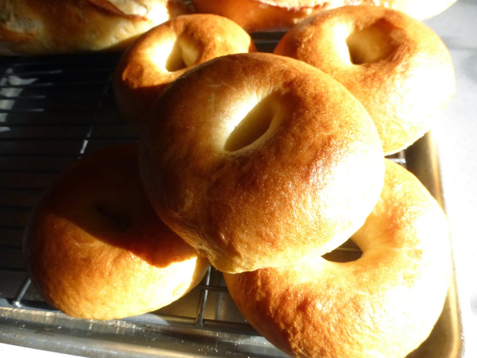 Daily happiness Bagels Recipe by Peter Reinhart