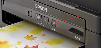 epson reset printer button