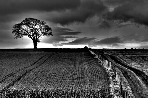 Black and White Photography Black and White Photography
