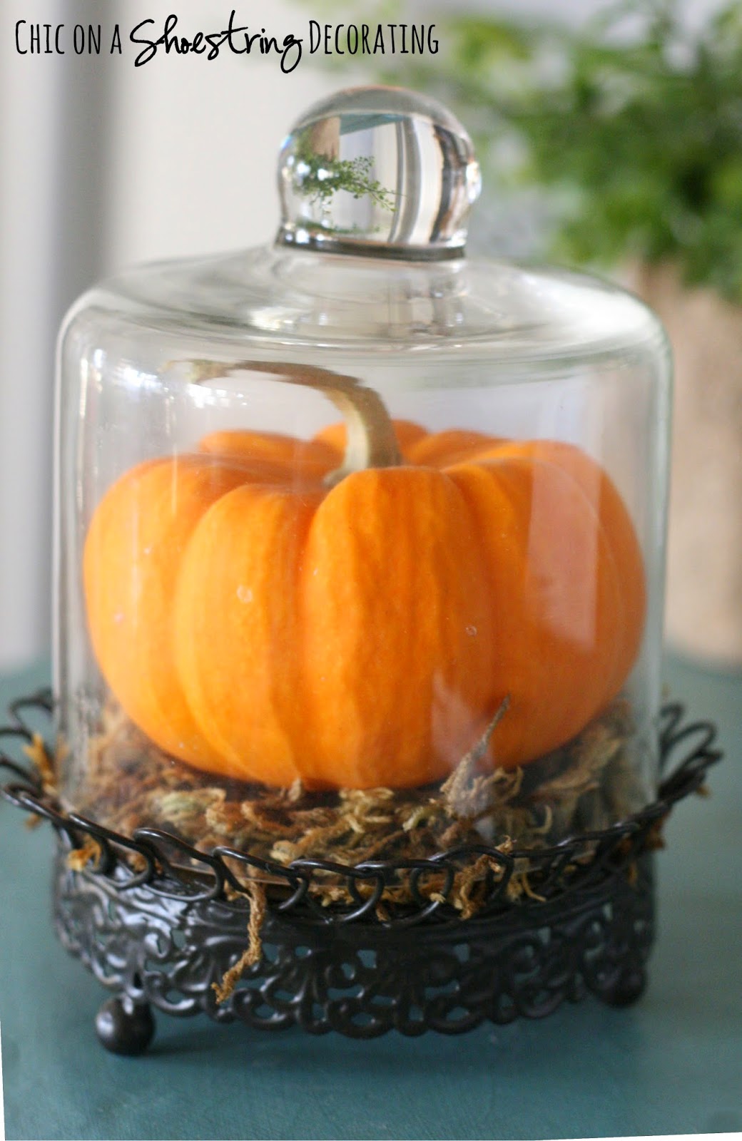 Chic on a Shoestring Decorating Black & Orange Fall Decor