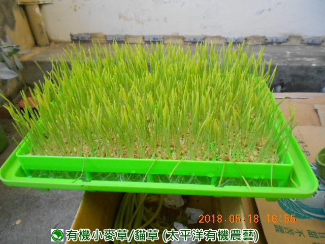 �p��,�߯�ش�,�߯�شӤ�k,�߯�,�߯�O����,�߯�diy,�߯�p����,�߯����,�^�K���@�k,�ؿ߯�