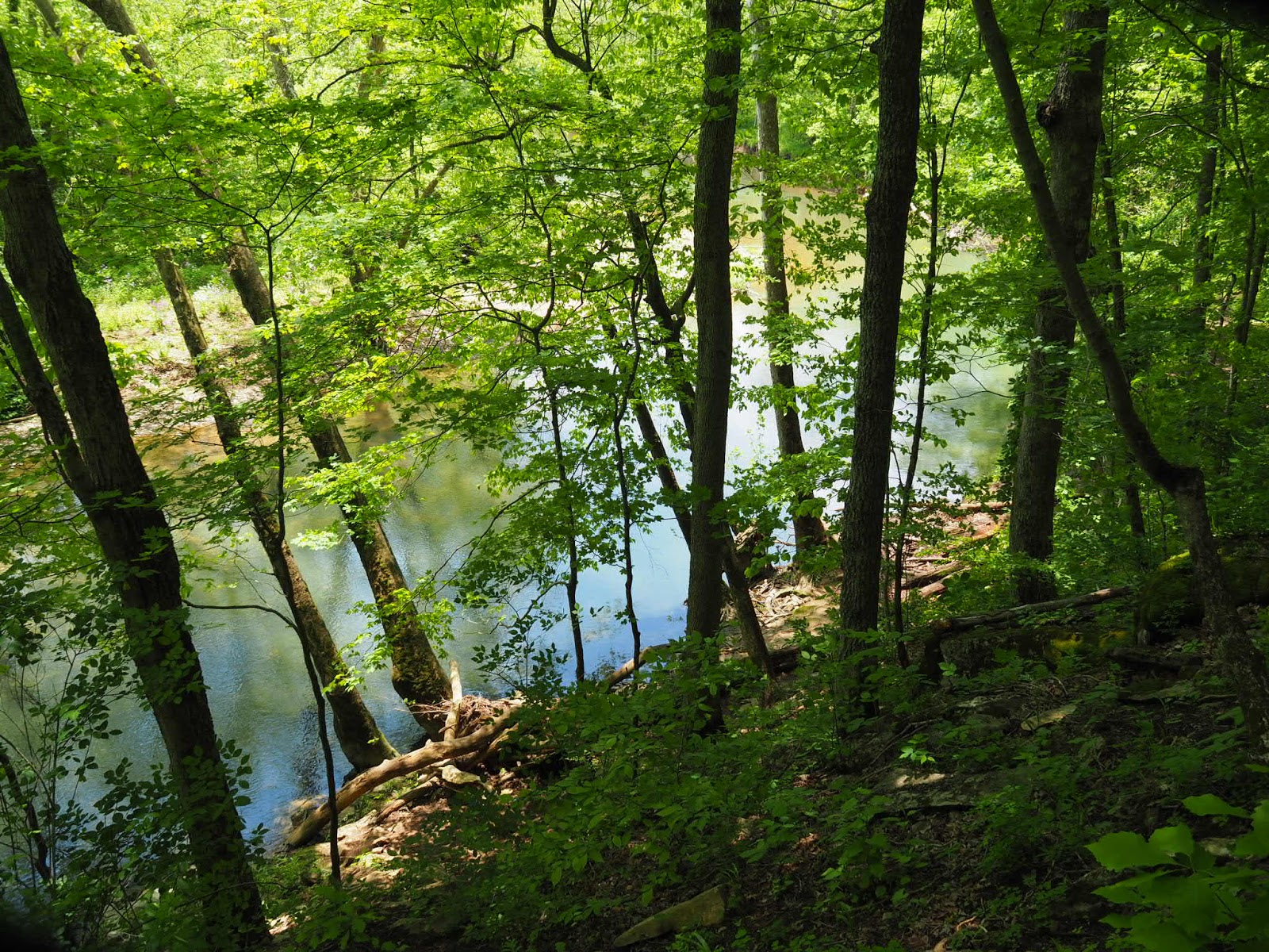 Bloomington, IN Cedar Bluff Nature Preserve (halfway up) Explore