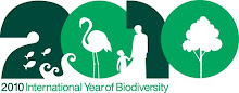 2010 - International Year of Biodiversity