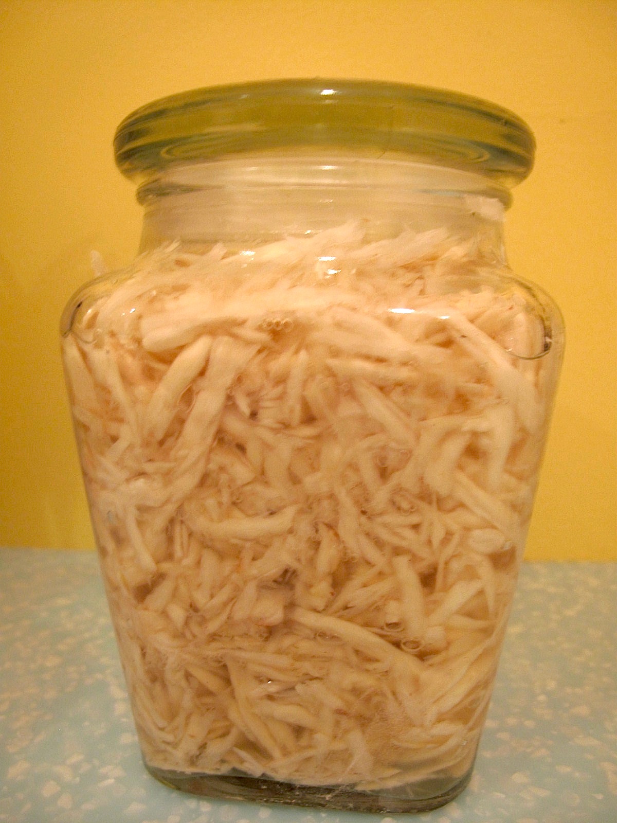 somerville kitchen Best Horseradish Supplier Ever