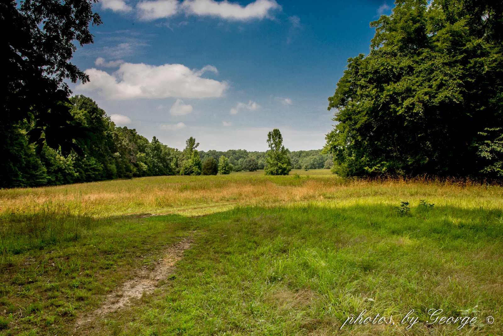 "What's Blooming Now" Old Stone Fort State Archaeological Park in