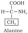 Structure of Alanine