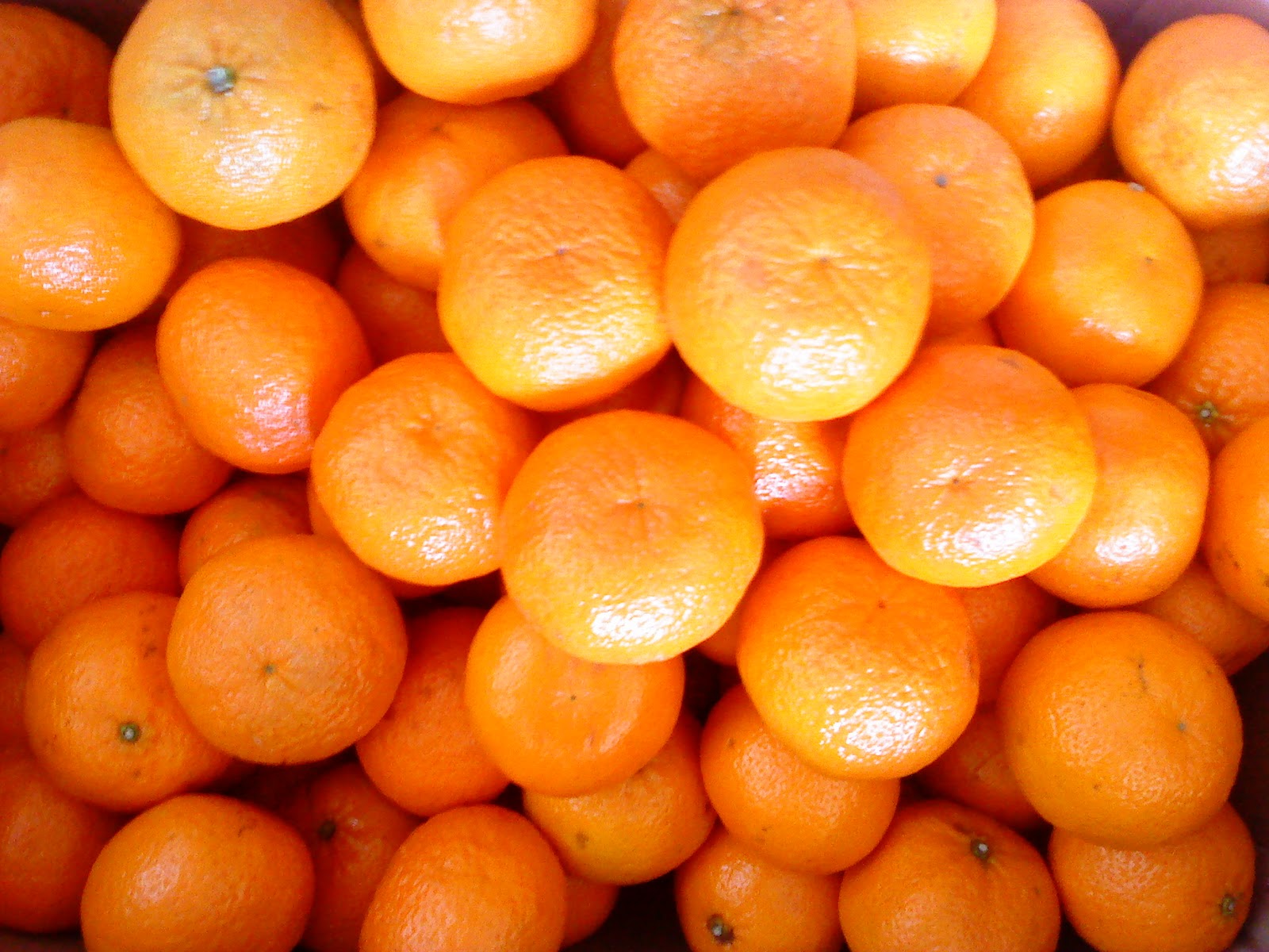 She likes oranges. Китайский апельсин. Китайские апельсинки. Китайский мандарин фрукт. Апельсины дички.