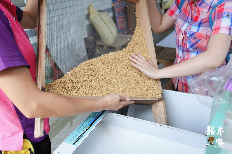 餵魚喝ㄋㄟㄋㄟ、碾米、拔蔥做蔥油餅|宜蘭親子農場DIY活動、童話村生態農場親子活動
