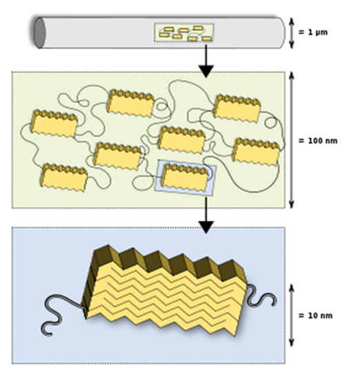 Innovations together with Developments of Spider Silk Yaa Innovations together with Developments of Spider Silk