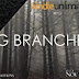 Release Tour - BREAKING BRANCHES (Blink: The Series) by J Kahele