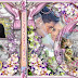 Elegante plantilla psd para crear portada dvd