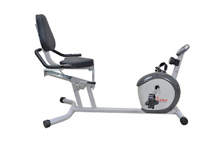 Sunny Health & Fitness SF-RB4601 Recumbent Exercise Bike, image, review features & specifications