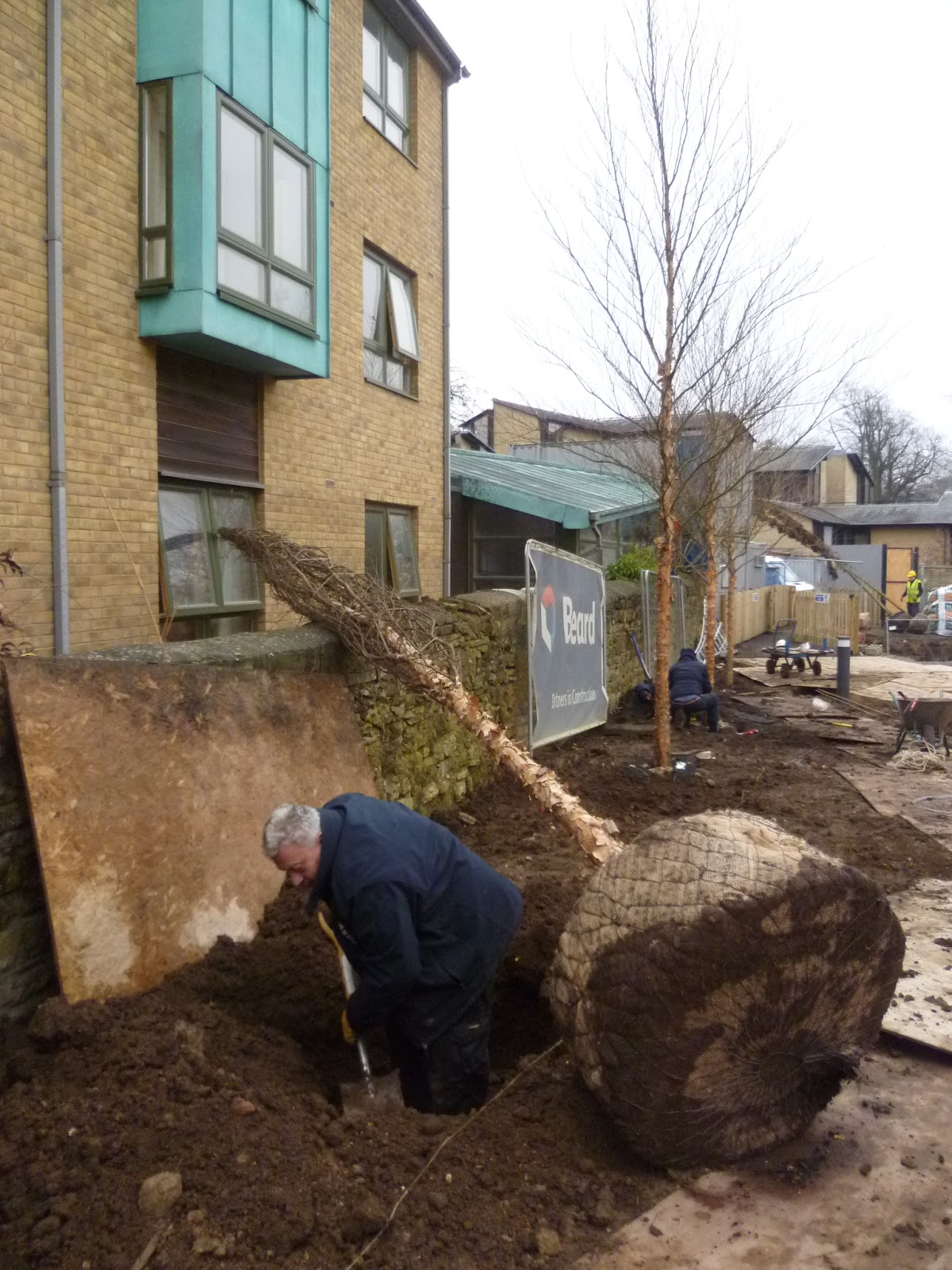 Worcester College Gardeners 20092018 Soft Landscaping Around The