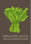 grelos de galicia