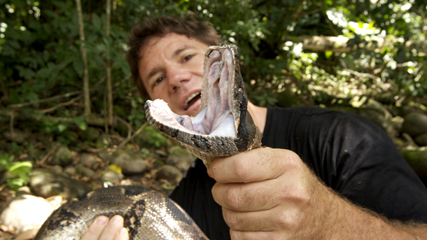 nat-geo-wild-deadly-60-costa-rica-bushmaster-snake