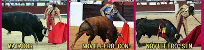 Para llegar a ser matador de toros tienes que cumplir ciertos requisitos 10447134_775692879214816_8880450169010904109_n