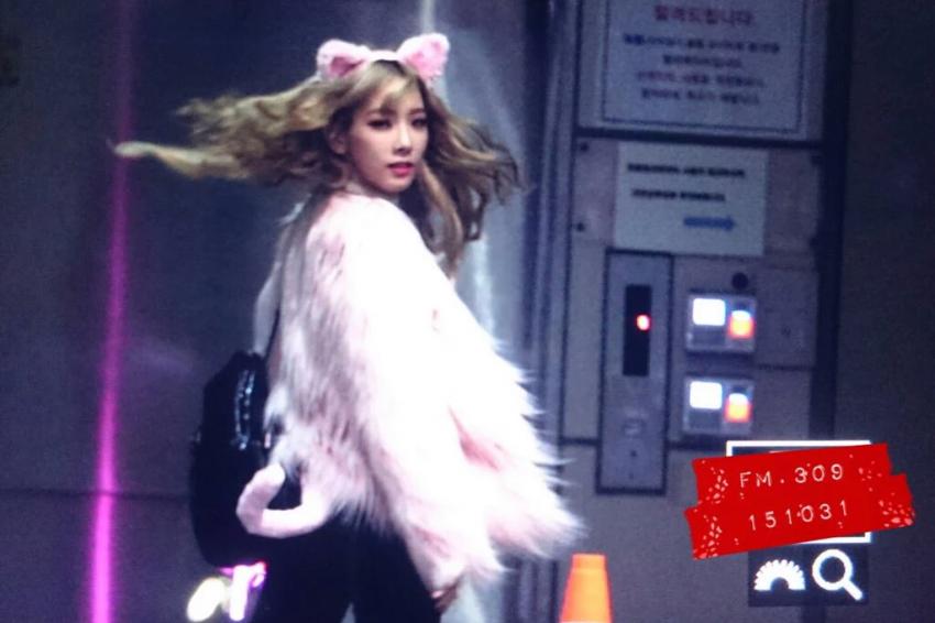 오늘 태연 출근길 (냥이코스프레) | 인스티즈