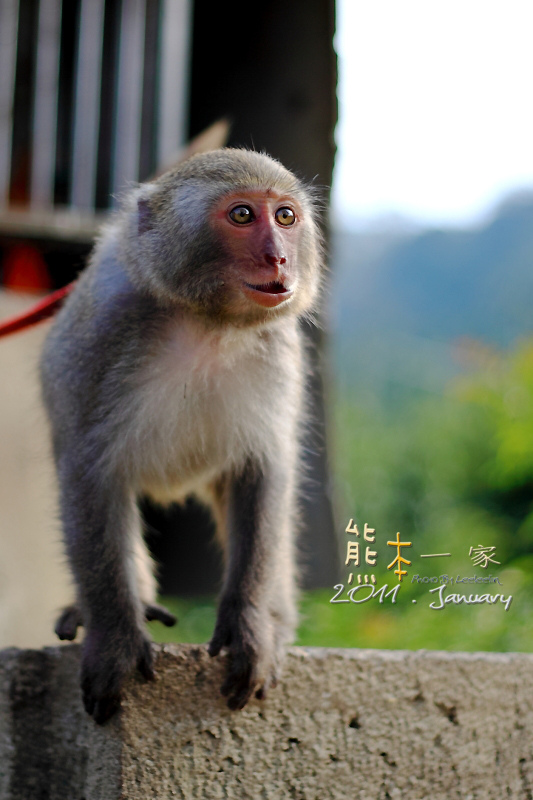 谷泉咖啡莊園
