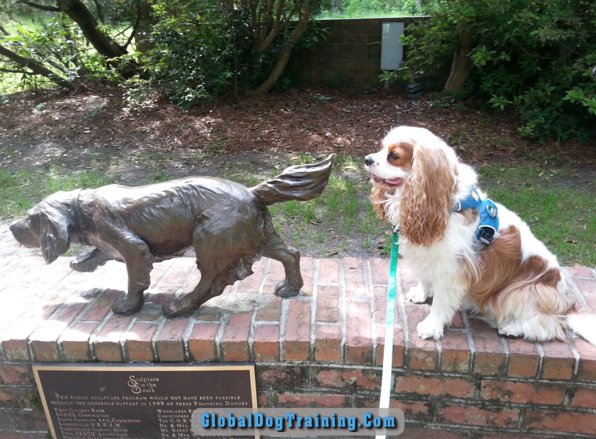 Dog Friendly Restaurants In Folly Beach Sc Dog Friendly Restaurants In Folly Beach Sc