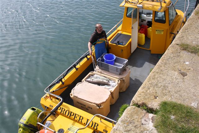 Pollock Cod End Up Stern Ramp Fish n Bits: The BEST Line Caught Cod & Pollock available!
