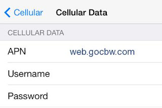 Cincinnati Bell APN Settings for Apple iPhone