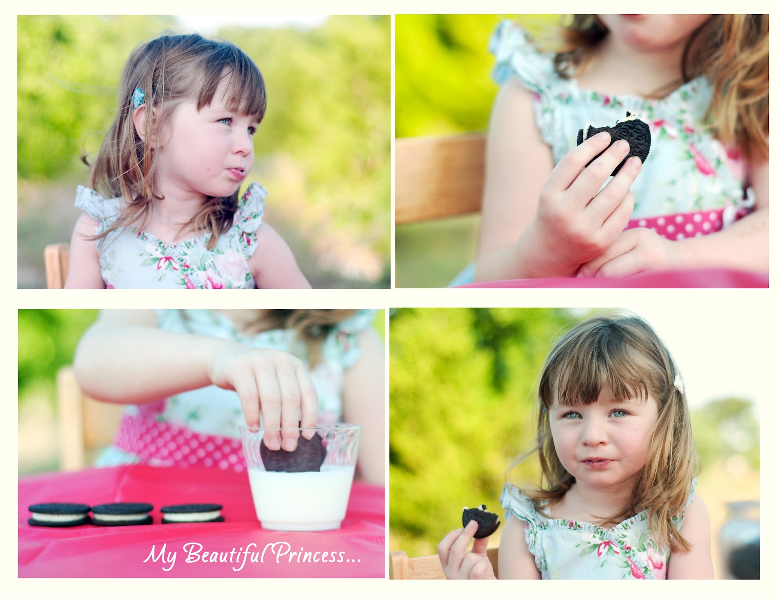 Carrie Saindon Photography Cookies and Milk {McKinney and Frisco, TX