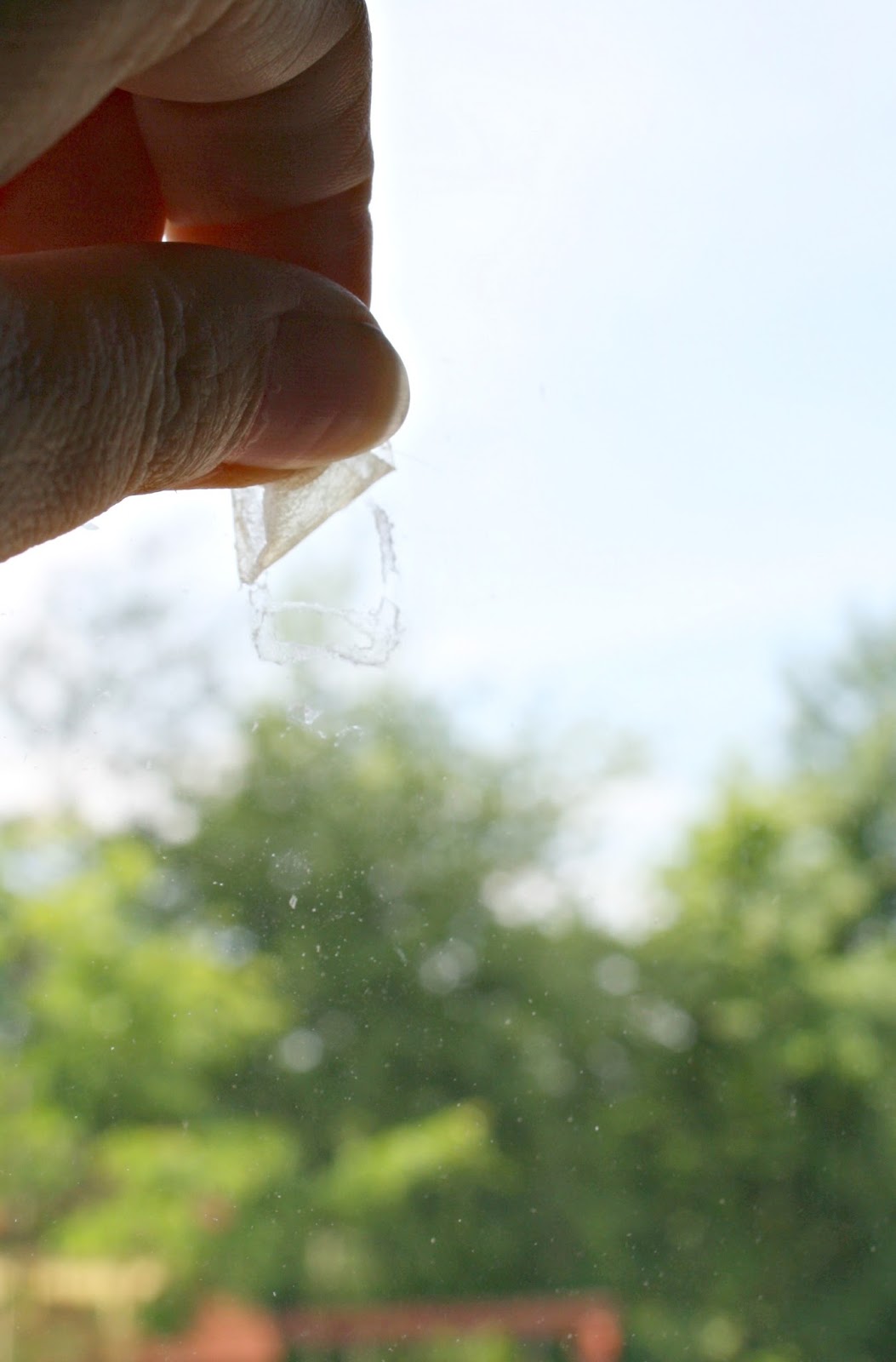 How to Remove Broken 3M Command Strips Thrifty Decor Chick Thrifty DIY, Decor and Organizing