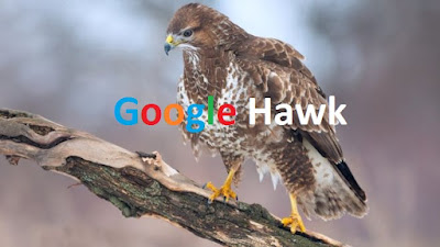 2 Cara Mengatasi Algortima Google Hawk [Rekomendasi]