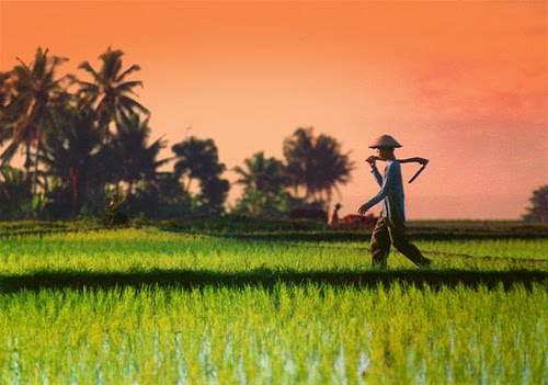 Cara Sederhana Istri Membahagiakan Suami Dengan Menghargai Jerih Payahnya Cara Sederhana Istri Membahagiakan Suami Dengan Menghargai Jerih Payahnya